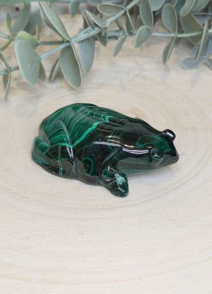 Grenouille en Malachite *réparée*
