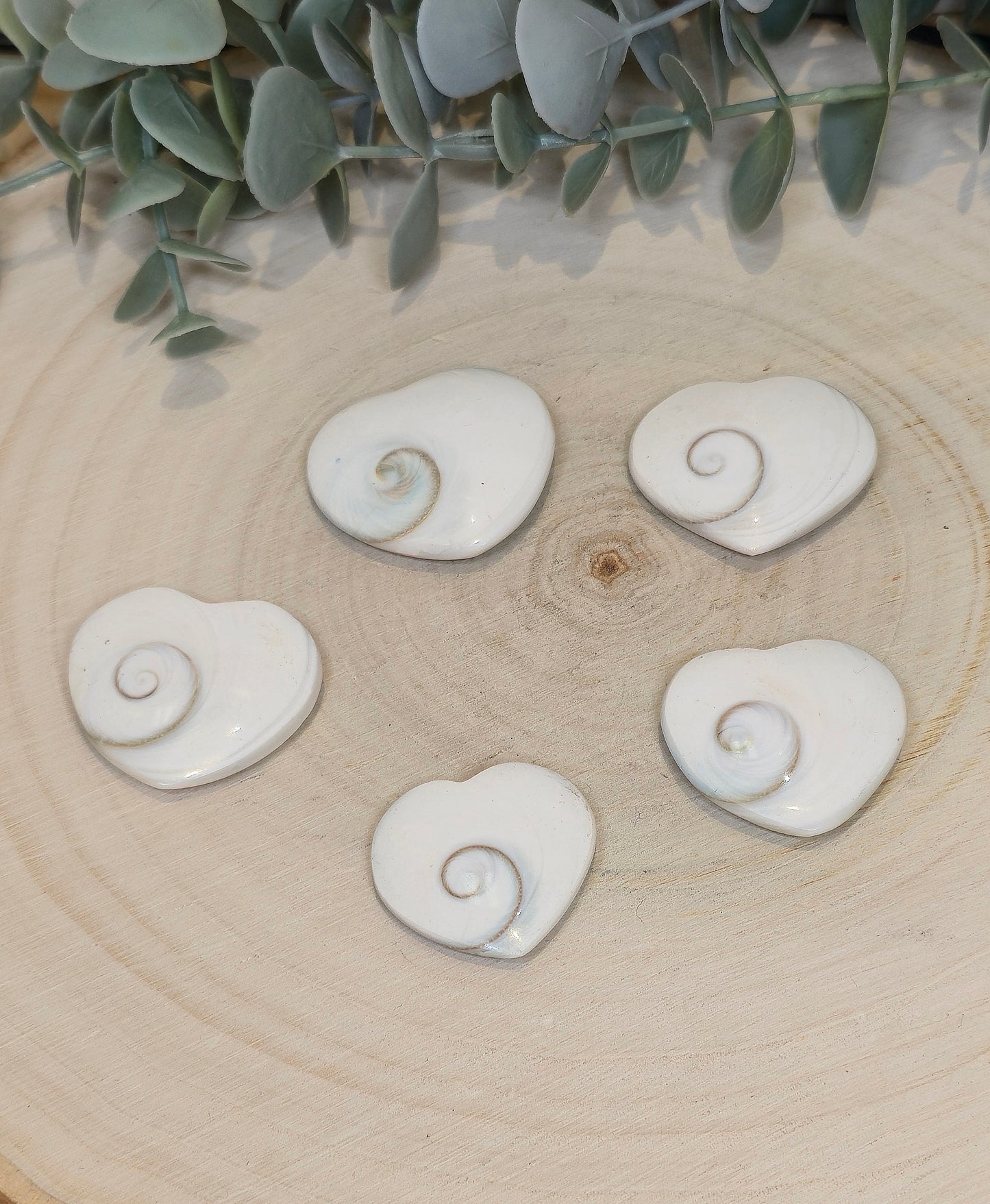Coeur Oeil de Shiva