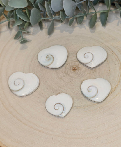 Coeur Oeil de Shiva