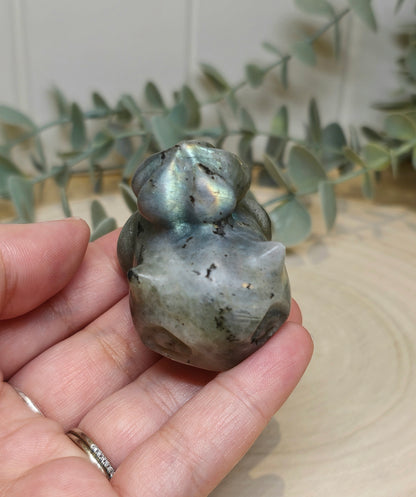 Bulbasaur Labradorite