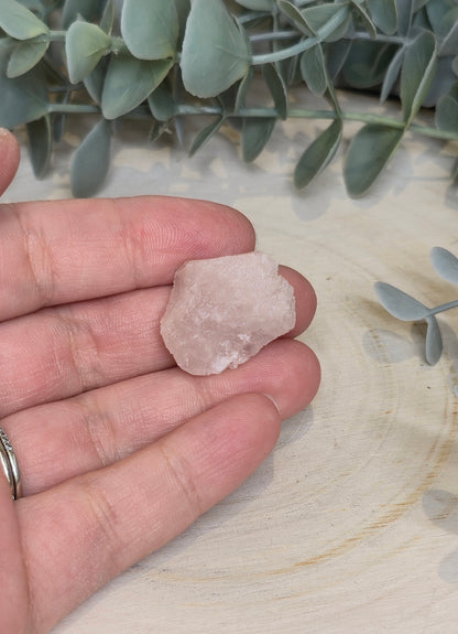 Quartz Nirvana brute