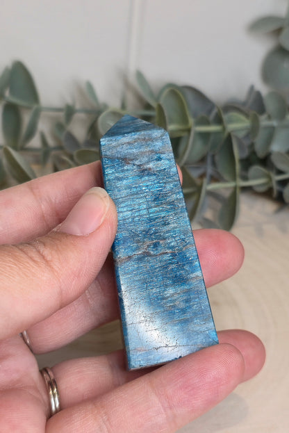 Pointe en Apatite