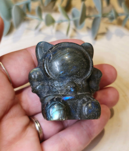 Chat astronaute Labradorite