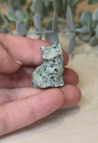 Chat en Jaspe Green dots