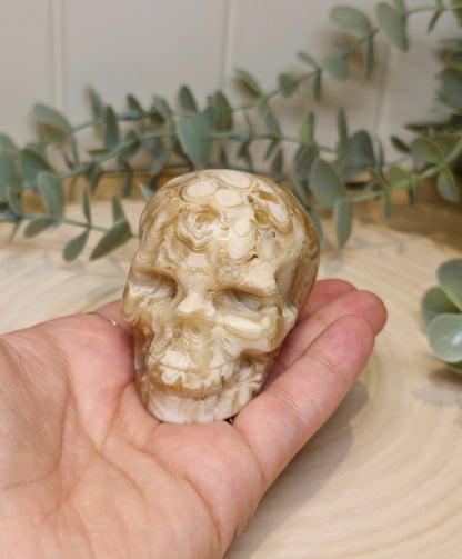 Crâne Agate Fleur ambrée