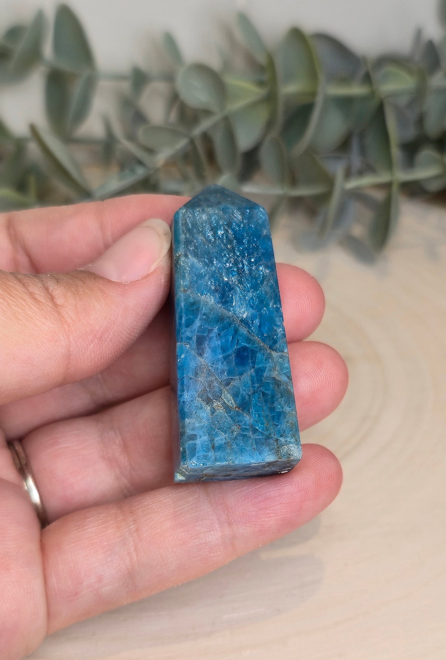 Pointe en Apatite