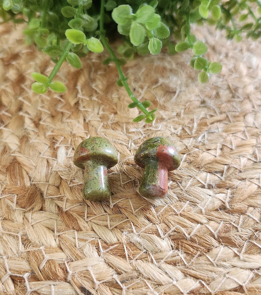 Champignon en Unakite