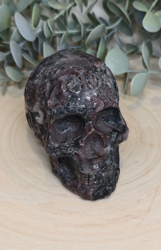 Crâne Grenat dans Astrophyllite