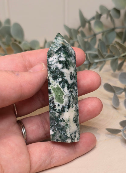 Pointe en Agate arbre