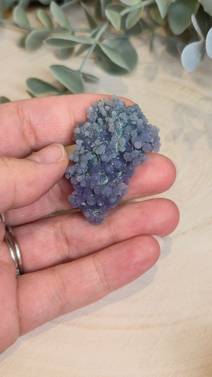 Agate raisin brute
