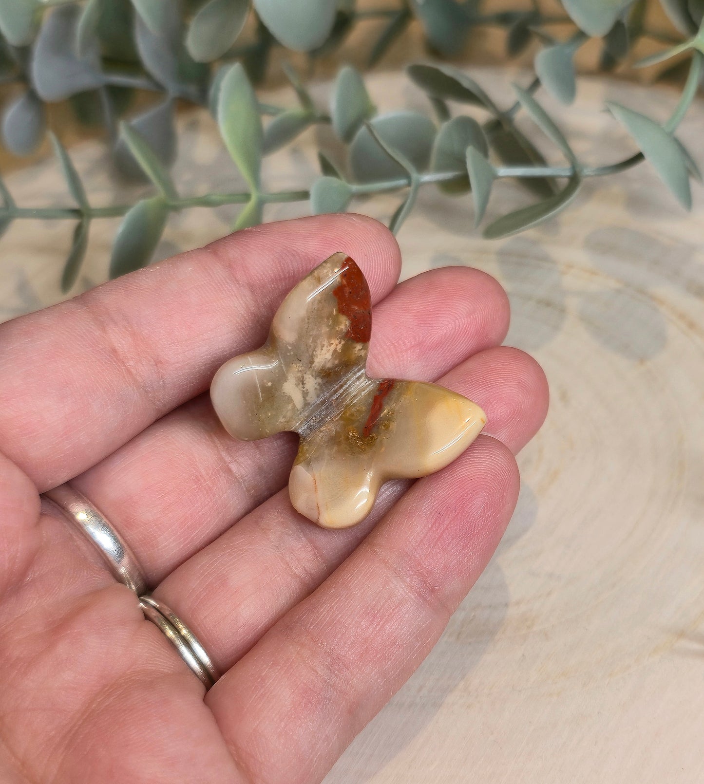 Papillon Jaspe rouge