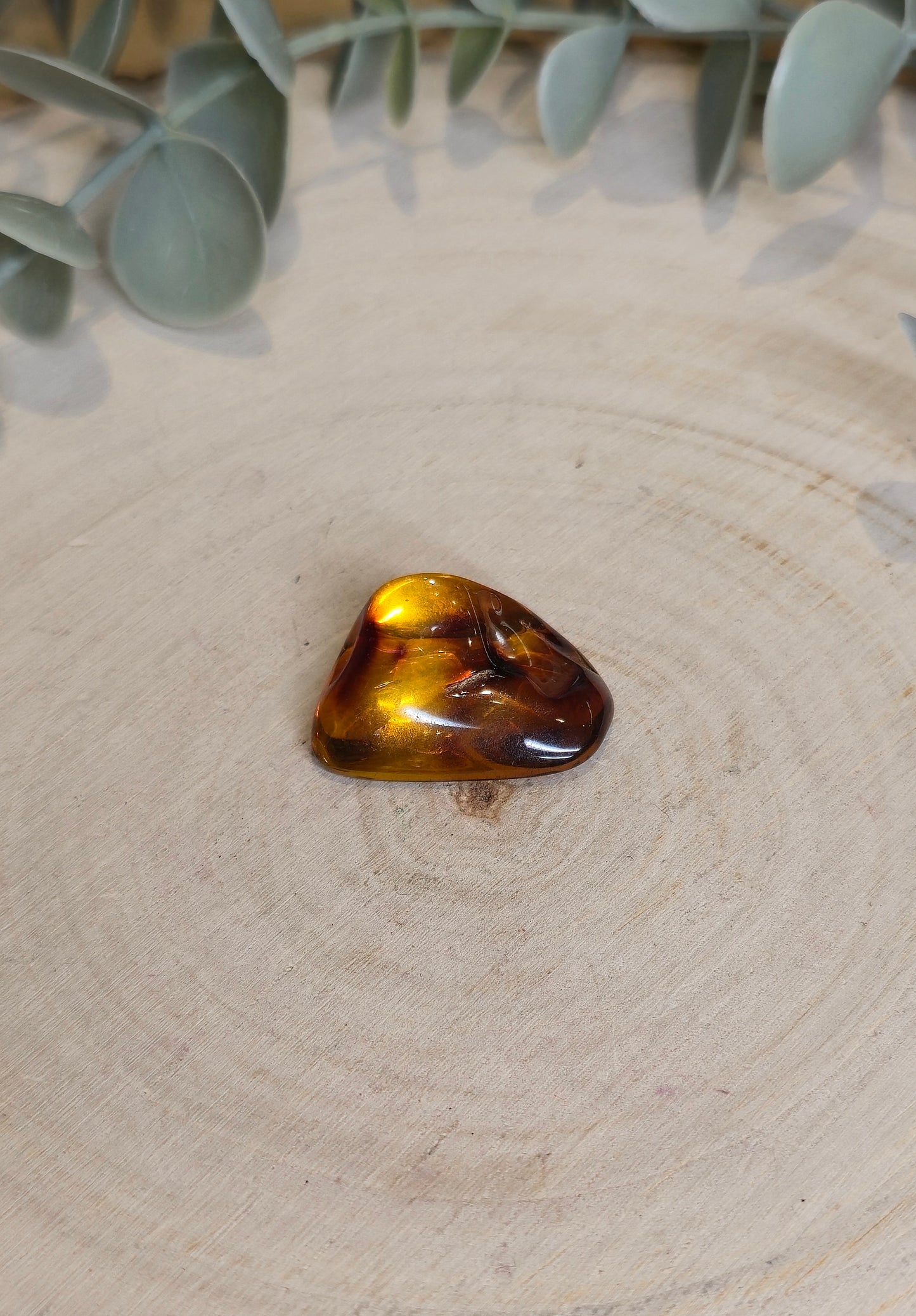 Ambre Baltique barattée