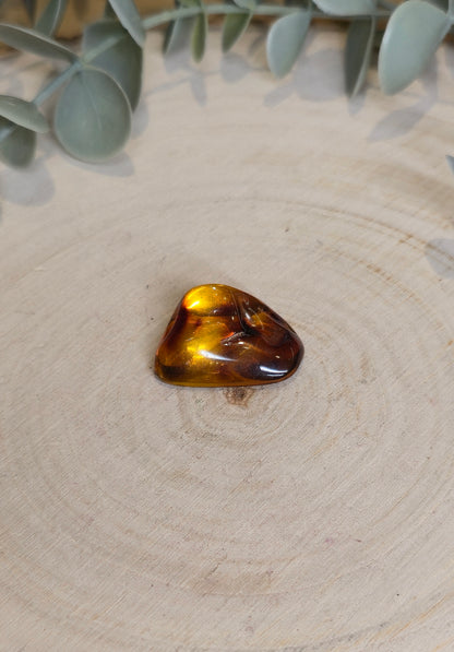 Ambre Baltique barattée