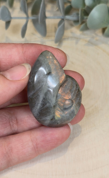 Coquille d’escargot en Labradorite