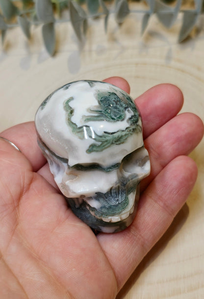 Crâne Agate mousse