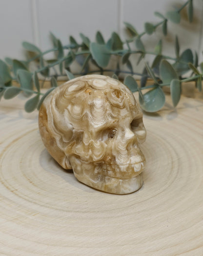 Crâne Agate Fleur ambrée