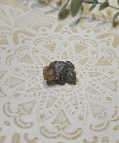 Grenouille Jaspe océan