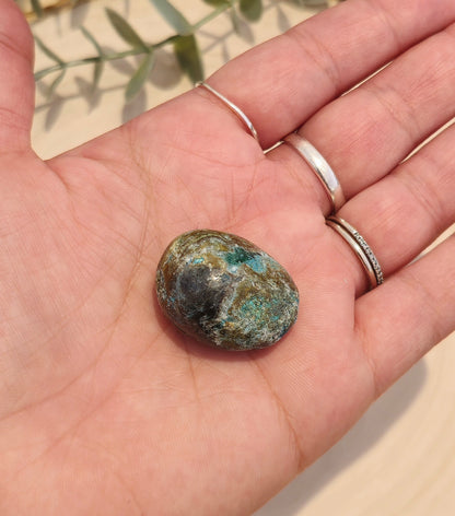 Quantum Quattro barattée