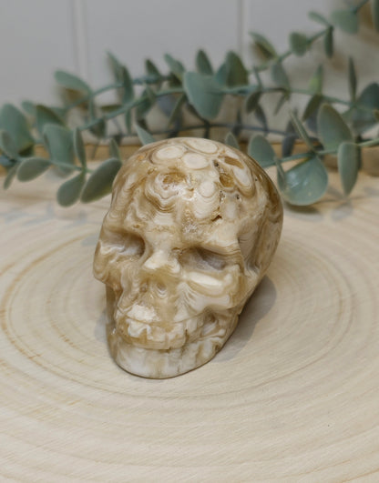 Crâne Agate Fleur ambrée
