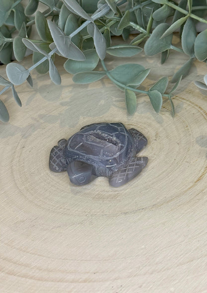 Tortue en Agate