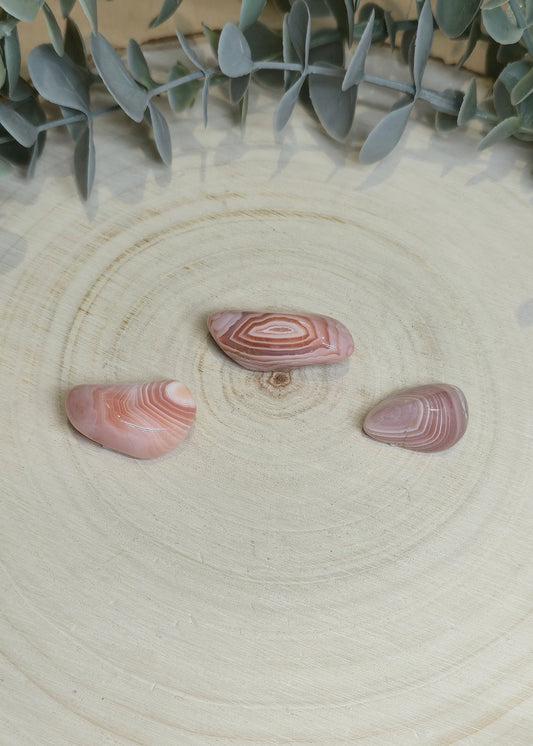 Agate abricot barattée