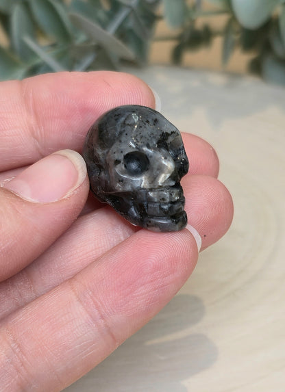 Mini Crâne en Larvikite