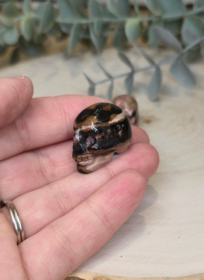 Mini Crâne en Bois fossilisé