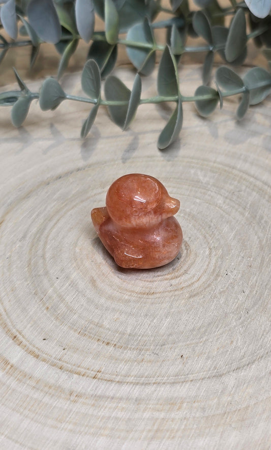 Canard Quartz feu