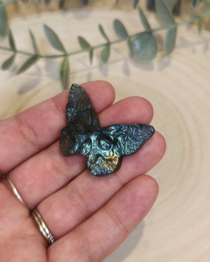 Papillon Crâne Labradorite bleutée