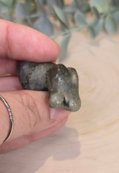 Mini Femme Labradorite