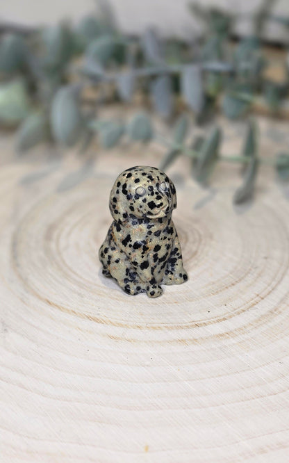 Chien en Jaspe Dalmatien