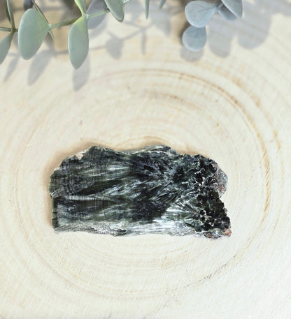 Tranche de Séraphinite de Russie