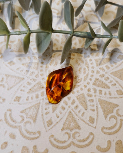Ambre Baltique barattée