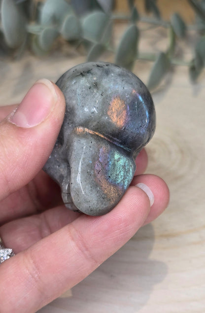 Crâne en Labradorite
