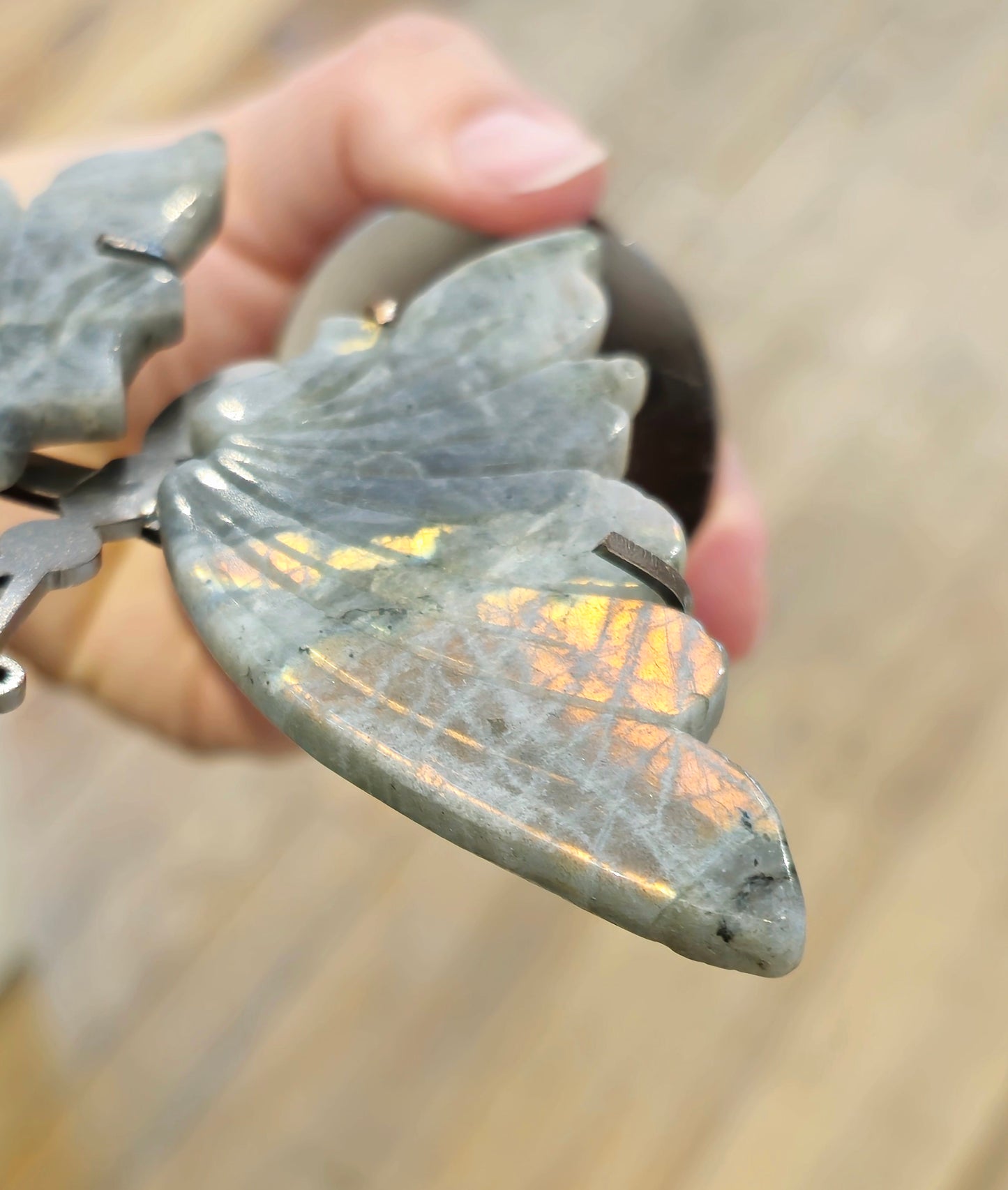 Papillon Labradorite