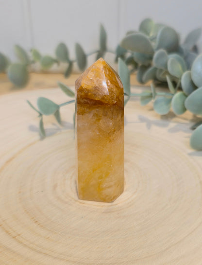 Pointe en Golden Healer