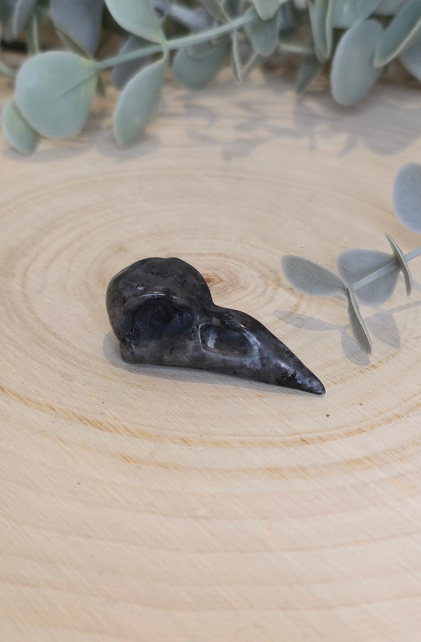Crâne de corbeau en Larvikite
