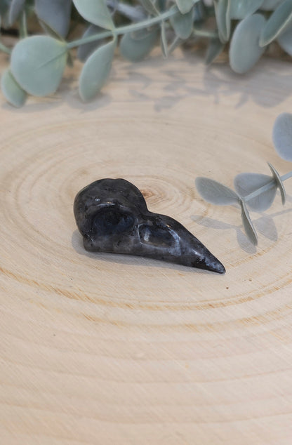 Crâne de corbeau en Larvikite