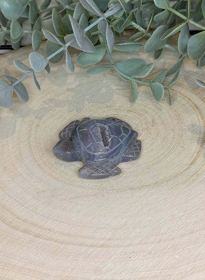 Tortue en Agate