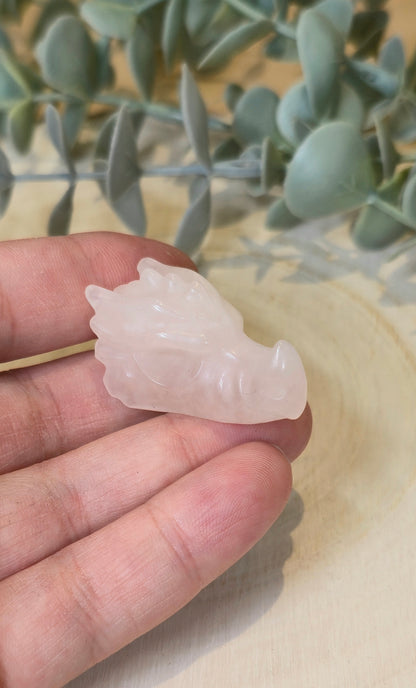 Dragon Quartz rose