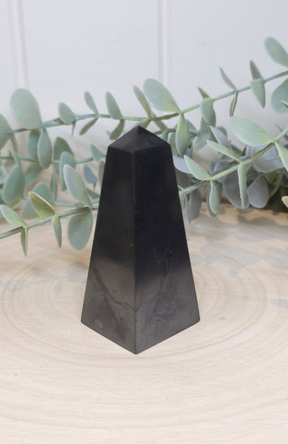 Pointe en Shungite