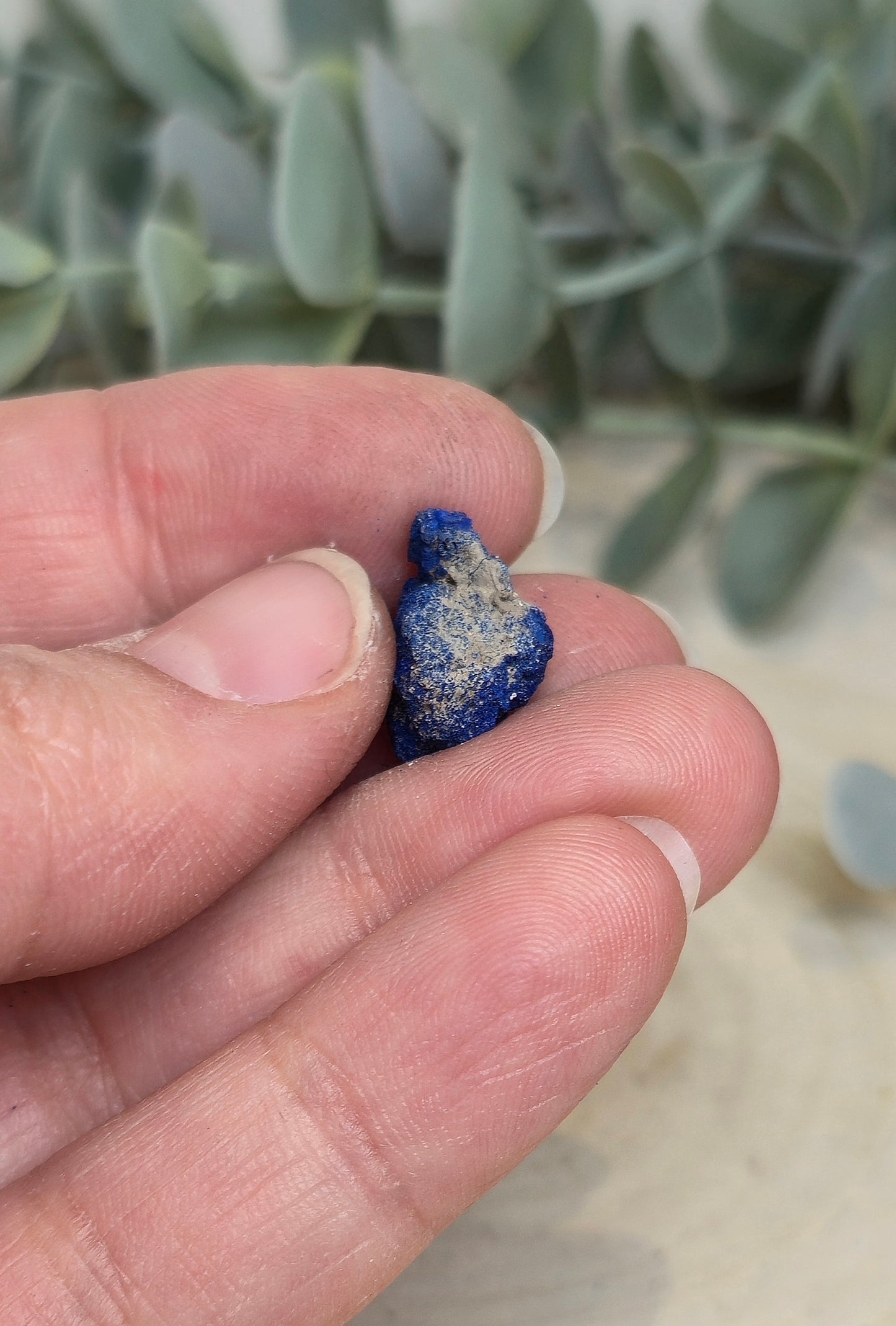Azurite brute