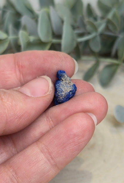 Azurite brute