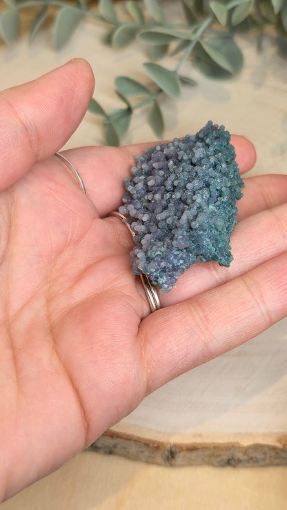 Agate raisin brute