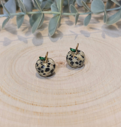 Mini Pomme Jaspe Dalmatien