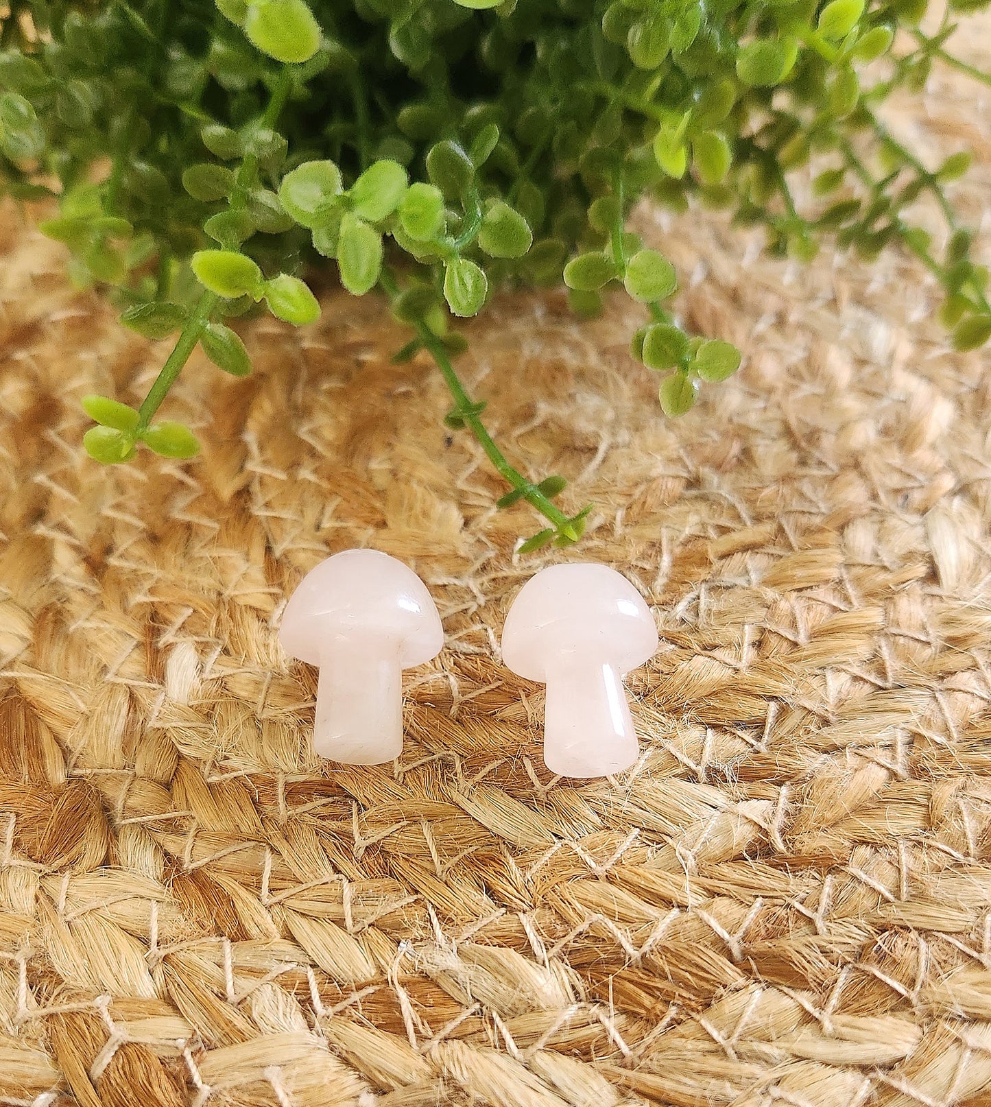 Champignon en Quartz rose