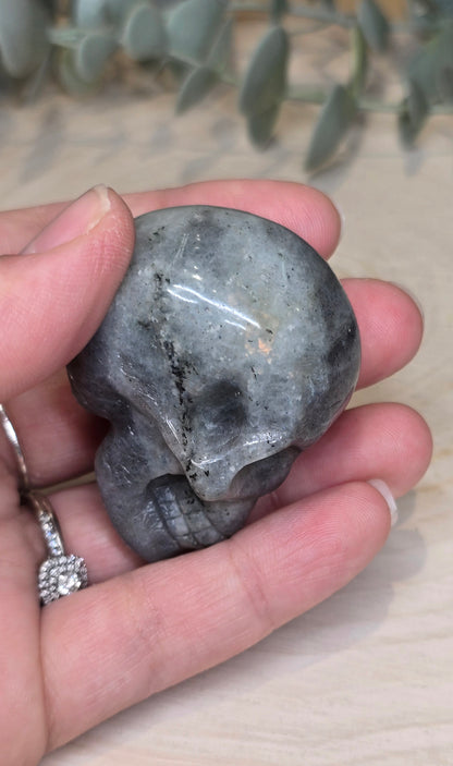 Crâne en Labradorite