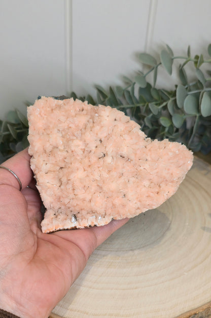 Stilbite brute d'Inde