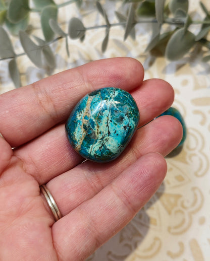 Chrysocolle barattée