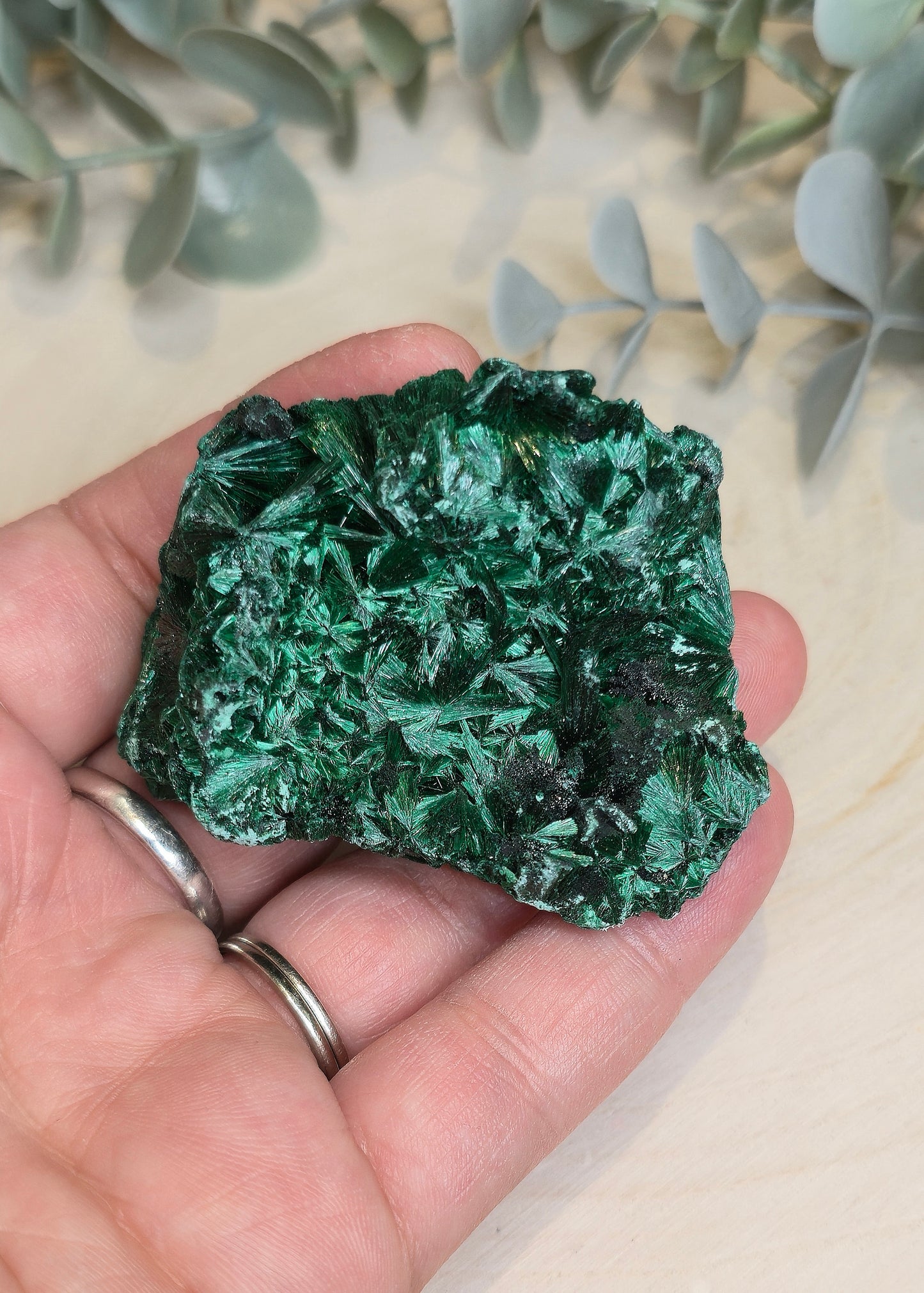 Malachite velour brute de l'Afrique